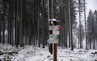 GSB - Stożek