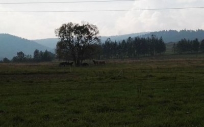 Korbania