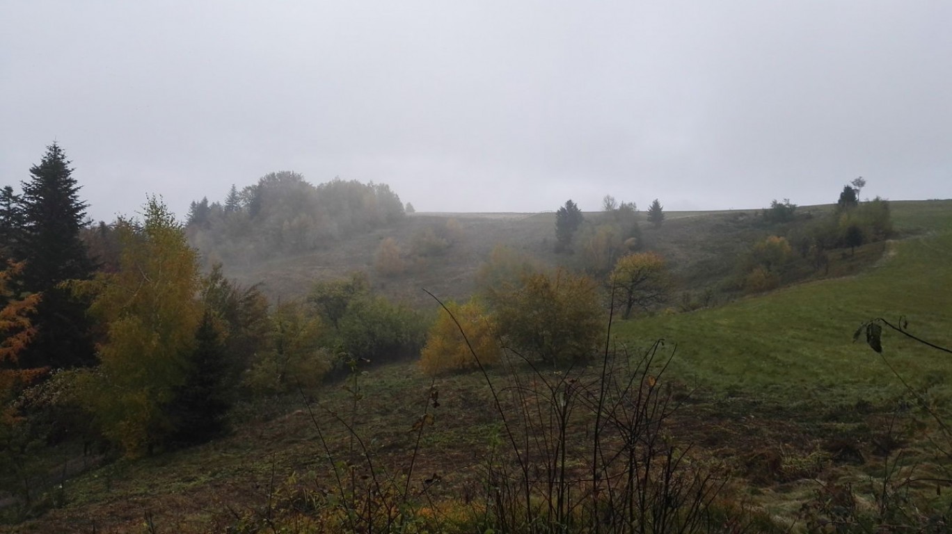 Brzyna - Koziarz - Tylmanowa