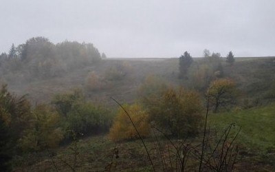 Brzyna - Koziarz - Tylmanowa