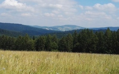 GSB: Duszatyn-Karlików