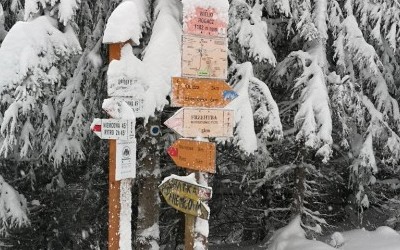 Sucha Dolina - Obindza - (GSB) Wielki Rogacz - Rytro