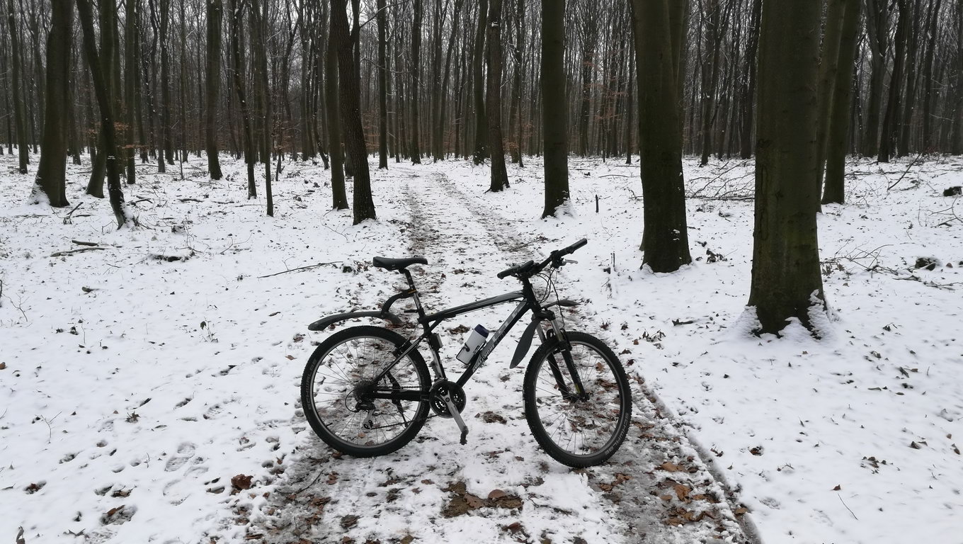 Słoneczna, ale mroźna niedziela