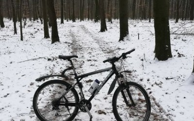 Słoneczna, ale mroźna niedziela