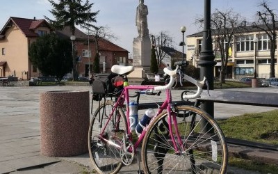 Proszowice