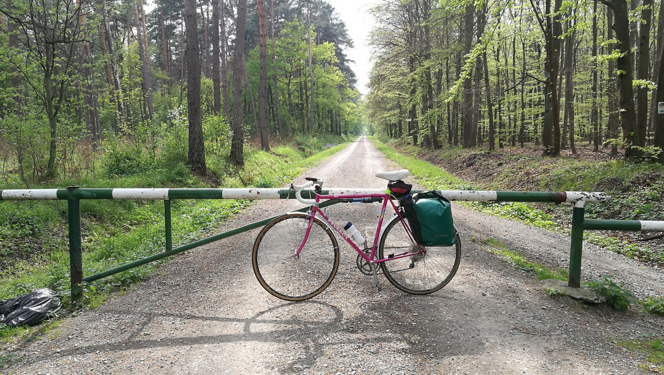 Praca #41
