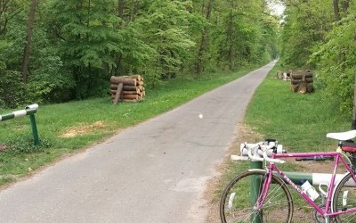 Praca #19, powrót przez Drwinię