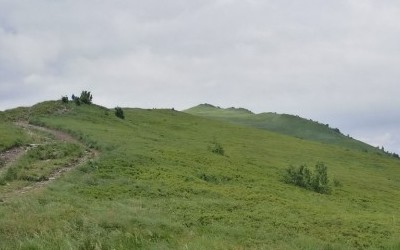 Korona Bieszczadów: Smerek