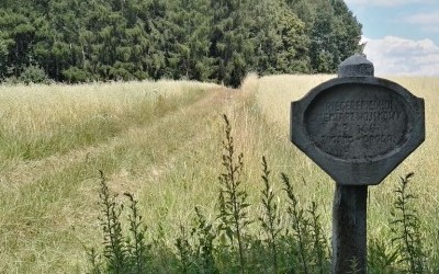 Cmentarze dz. 2