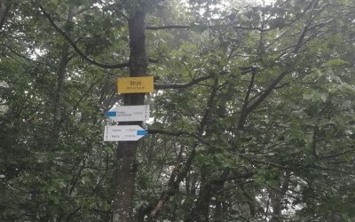 Korona Bieszczadów: Stryb