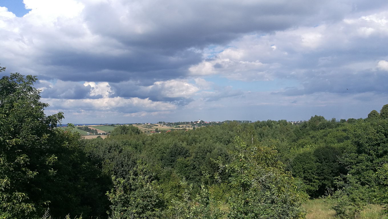 Co jest nie tak z Trekiem?