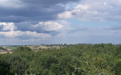 Co jest nie tak z Trekiem?