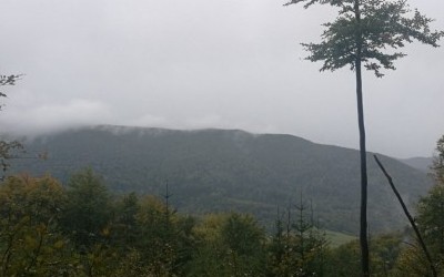 Korona Bieszczadów: Wołosań - 1071 m npm