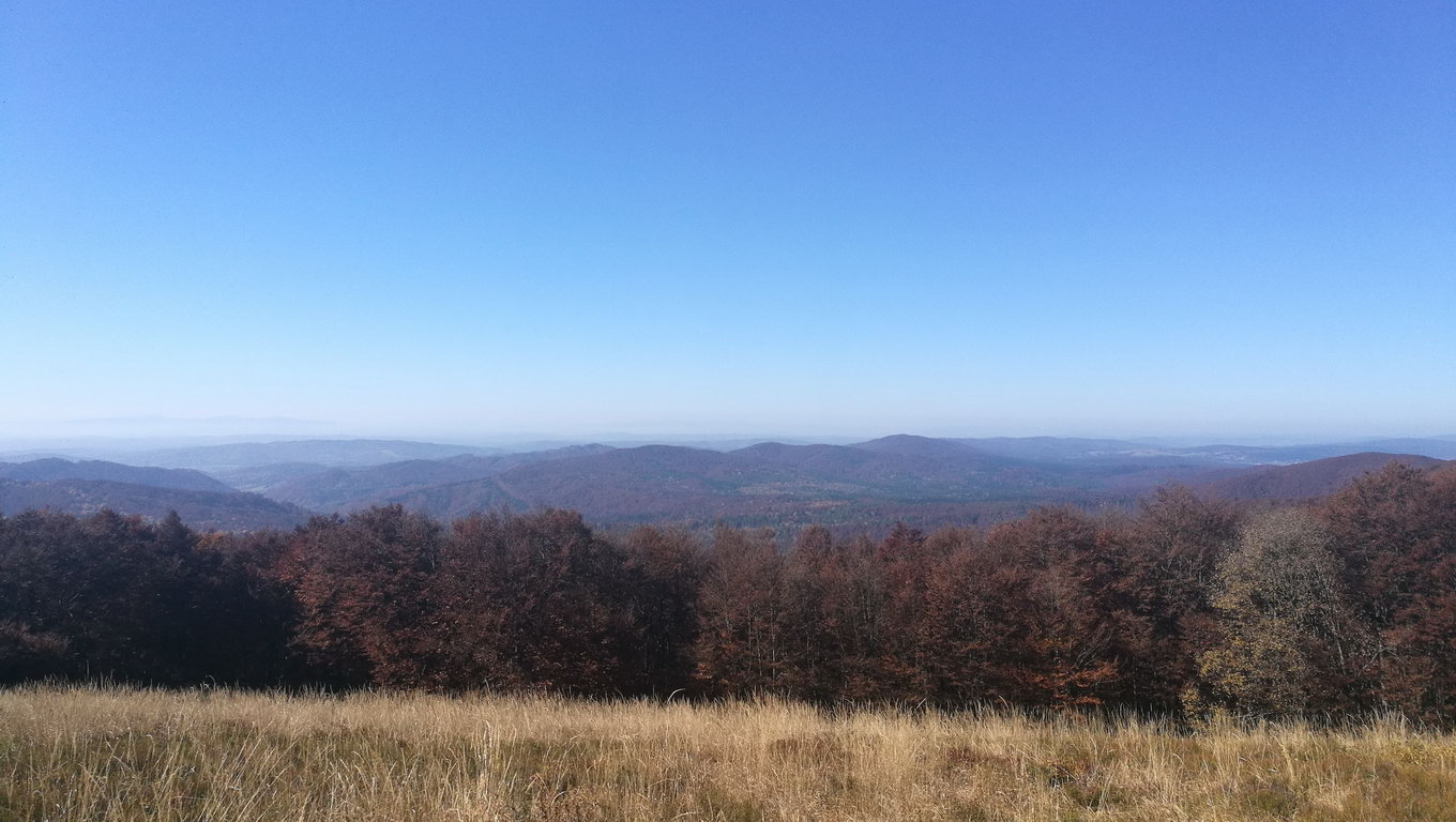 Korona Bieszczadów: Hyrlata - 1103 m npm.