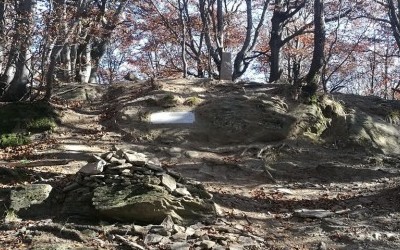 Korona Bieszczadów - Łopiennik - 1069 m npm