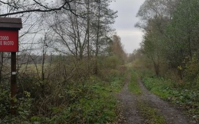 Szutrowanie