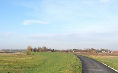 Praca #7 (strajk)
