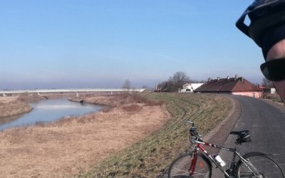 Zakupy, powrót naokoło