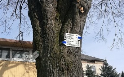 Szlak niebieski z Rzeszowa