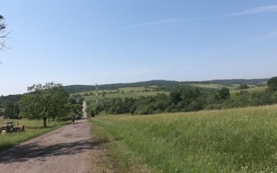 Wysokie, Ożenna, Konieczna