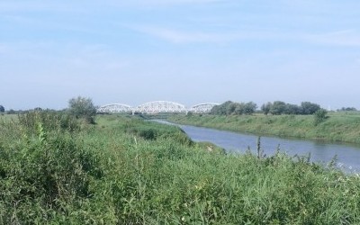 Rundka z córką