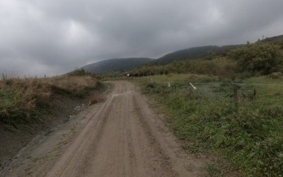 Blechnarka - Regietów