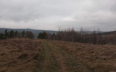 SN - Huta Brzuska - Piątkowa