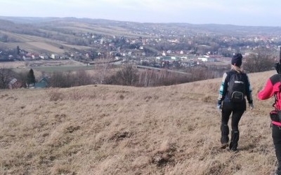 SN: Piątkowa - Dynów