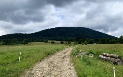 Ćwilin i Śnieżnica
