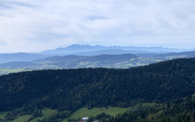 Jaworz, Sałasz, Korab