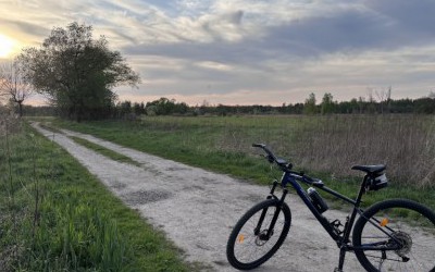 Leśna pętla na Rockriderze