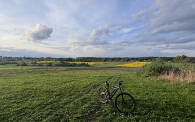 Szybka piątkowa rundka po lesie