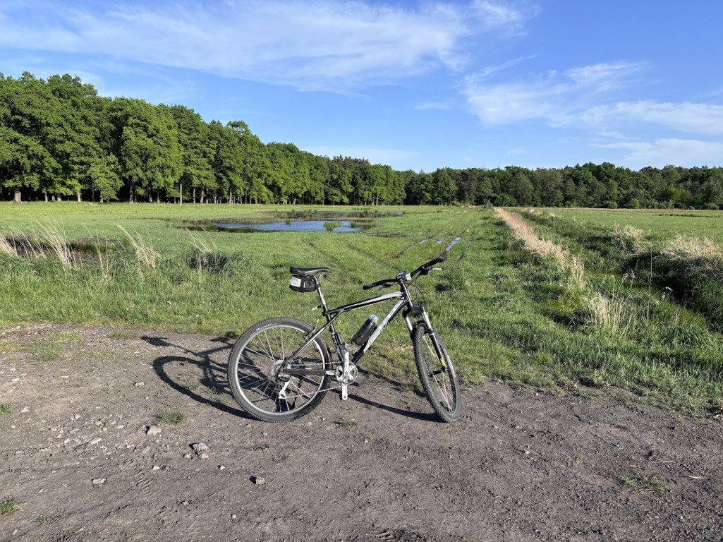 Wieczorna pętla na GT