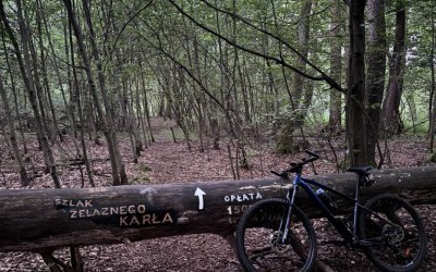 Szlakiem Żelaznego Karła