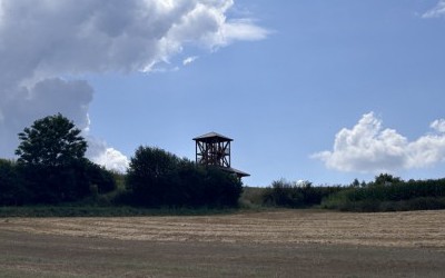 Do wieży widokowej w Witowie