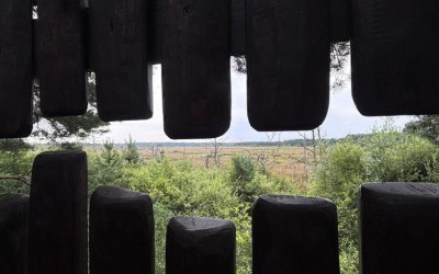 Na mokradła - Rezerwat Bielawskie Błota