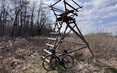 Puszcza Niepołomicka, nowa ścieżka rowerowa na Drodze Królewskiej