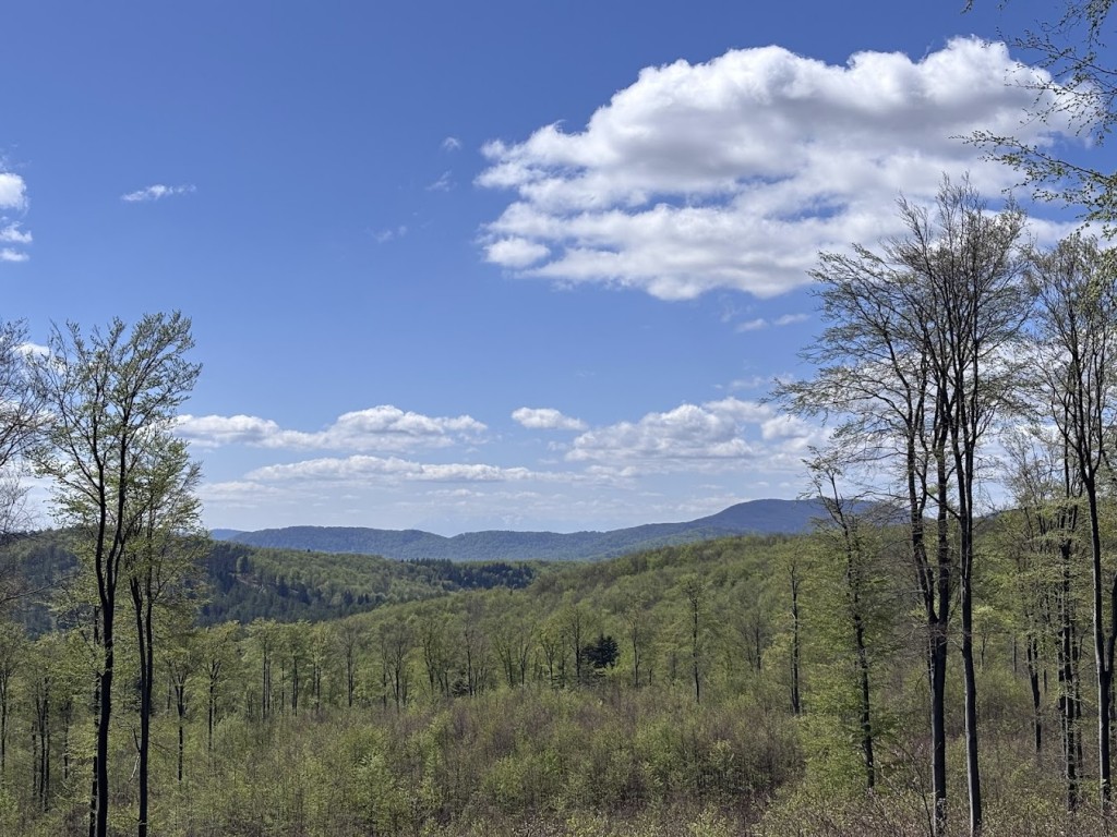 Beskid Niski - Rotunda, Jaworzyna Konieczniańska, Kozie Żebro
