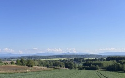 Gravelem po górka i krzakach
