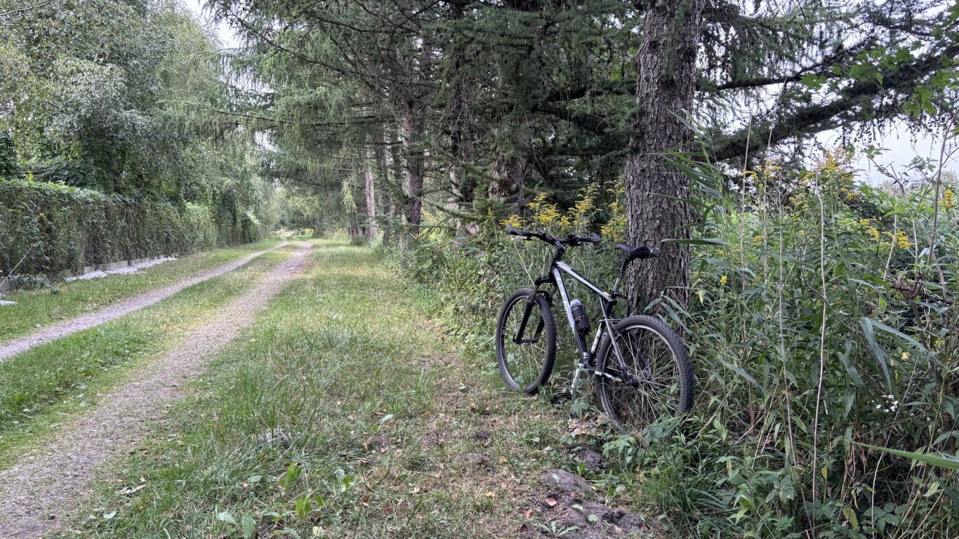 Leśna pętla na GT
