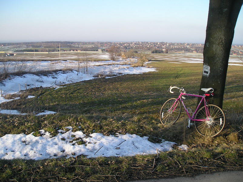 Niepołomice - Staniątki - Gruszki - Brzezie - Łysokanie - Szarów - Staniątki - Niepołomice