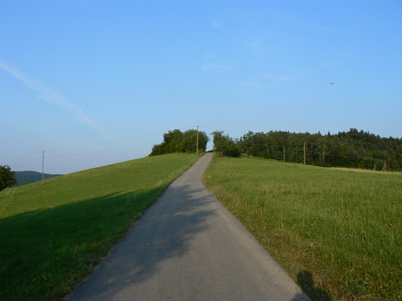 Żegocina - Rozdziele - Rozdziele Dolne - Kamionka Mała - Rozdziele Dolne - Rozdziele - Przełęcz Widoma - Żegocina