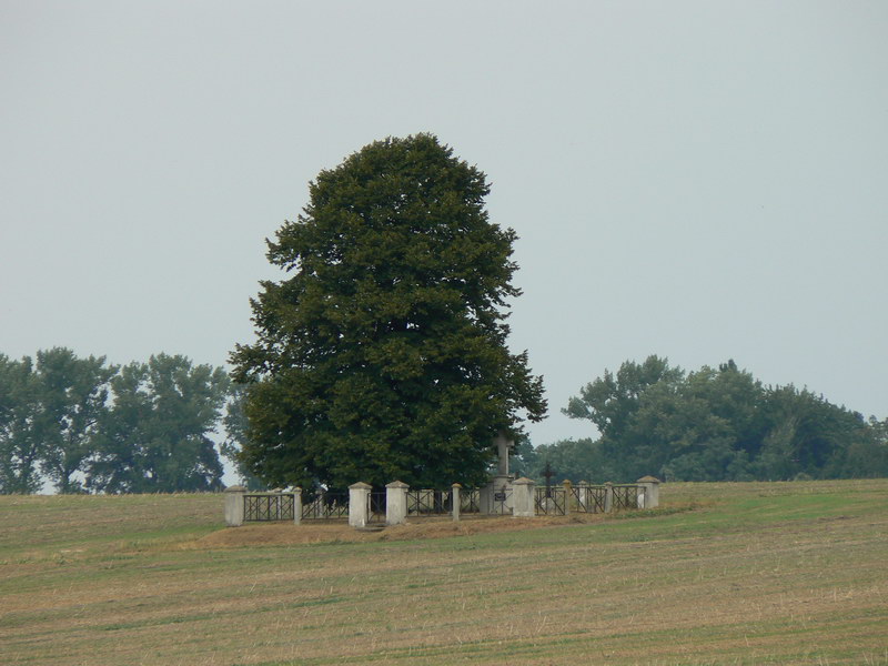 Łapczyca - Chełm - Targowisko - Kłaj - Niepołomice - Gruszki - Brzezie - Cichawa - Książnice - Siedlec - Łapczyca