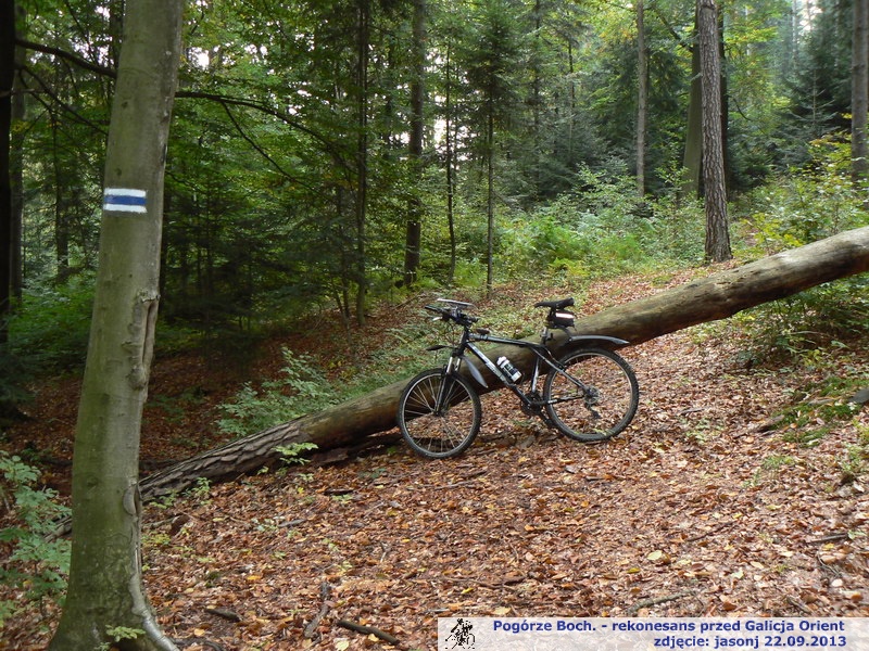 Łapczyca - Pogwizdów - Kopaliny - Nowy Wiśnicz - Leksandrowa - Połom Duży - Kamienie Brodzińskiego - Muchówka - Królówka - Zawada - Gierczyce - Moszczenica - Łapczyca