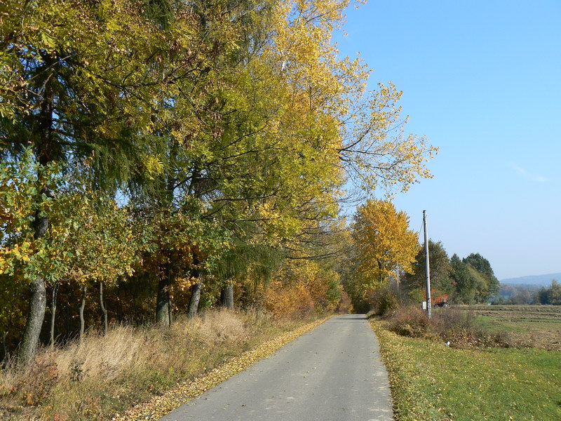 Łapczyca - Chełm - Targowisko (DK 75) - Kłaj - Szarów - Niepołomice - Szarów - Kłaj - Chełm - Łapczyca