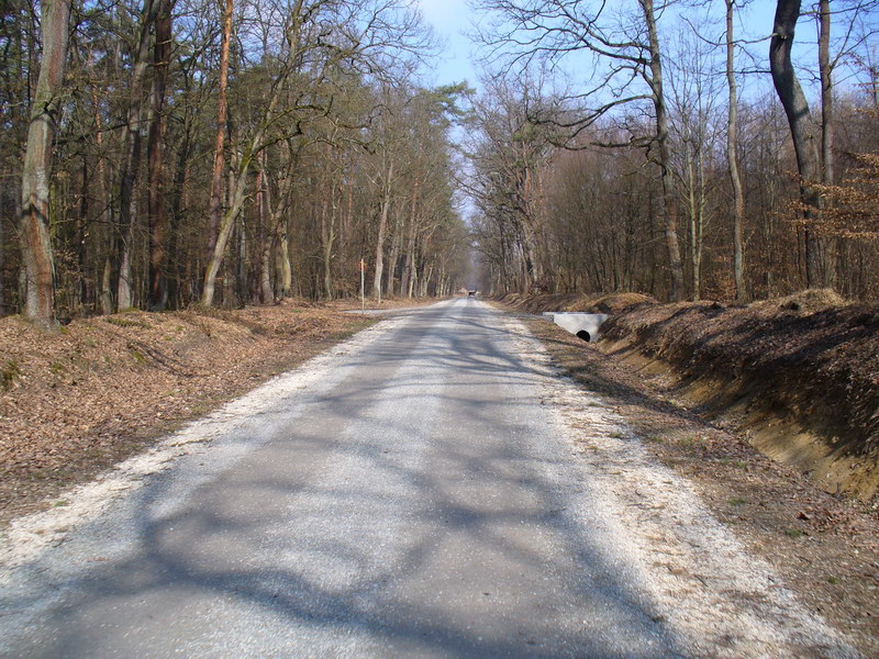 Łapczyca - Chełm - Targowisko - Kłaj - Puszcza Niepołomicka - Zabierzów Bocheński - Czarny Staw - Damienice - Bochnia - Łapczyca