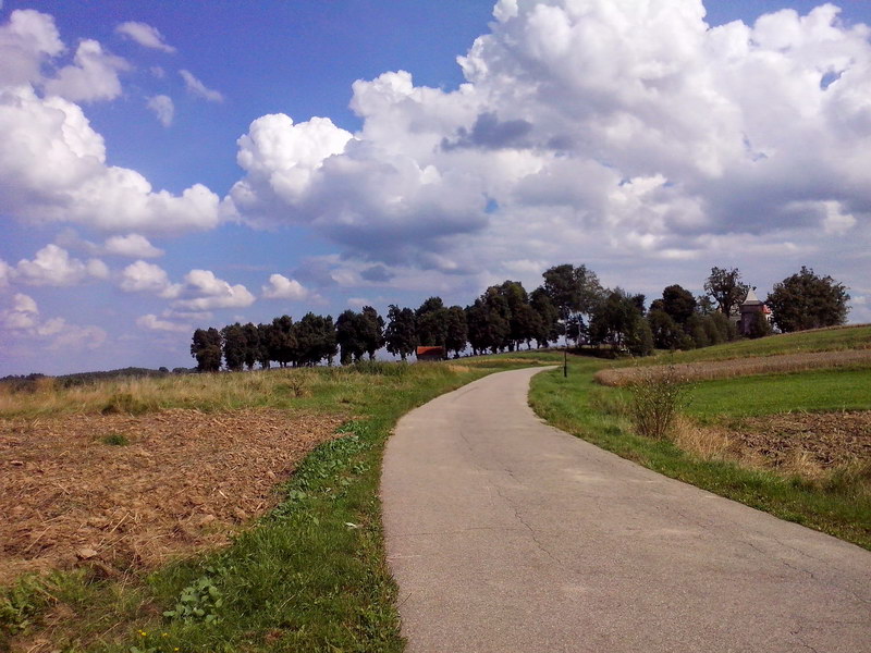 Niepołomice - Drogą Królewską nad Czarny Staw - Damienice - Bochnia - Łapczyca - Chełm - Targowisko - Kłaj - Niepołomice