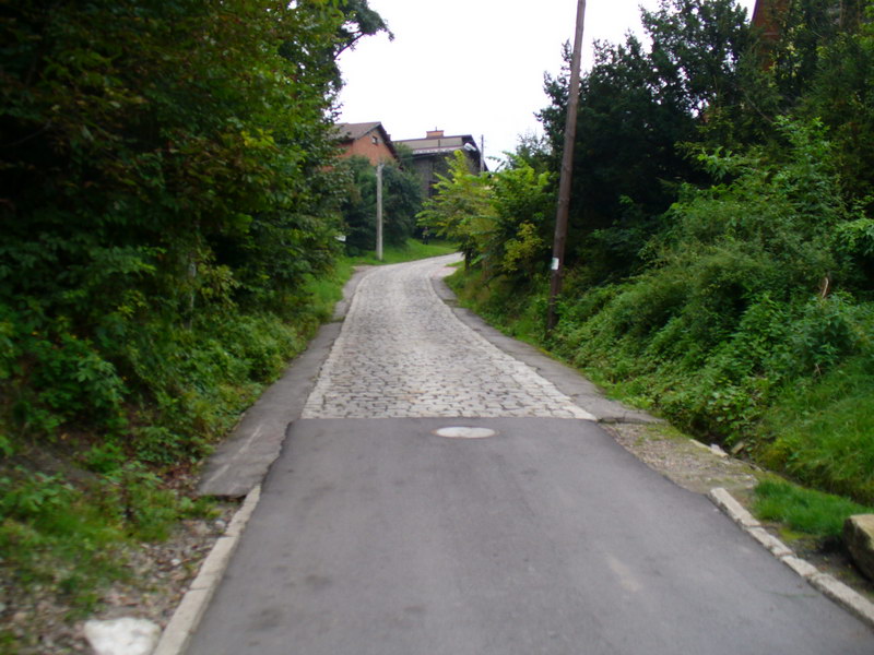 Niepołomice - Wieliczka - Niepołomice