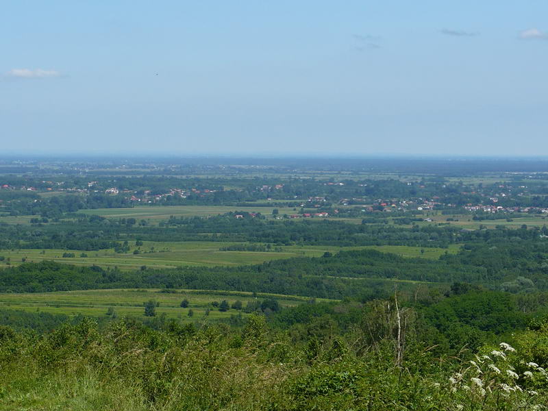 Na zamek w Dębnie