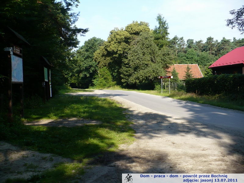 Niepołomice - do Zabierzowa przez Puszczę - Wola Zabierzowska - Niepołomice